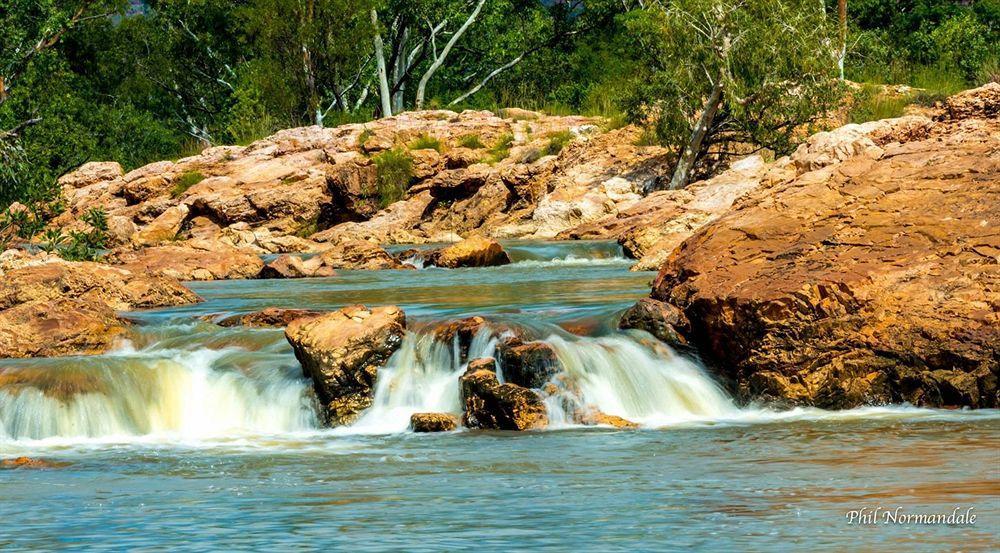 Kimberley Croc Kununurra