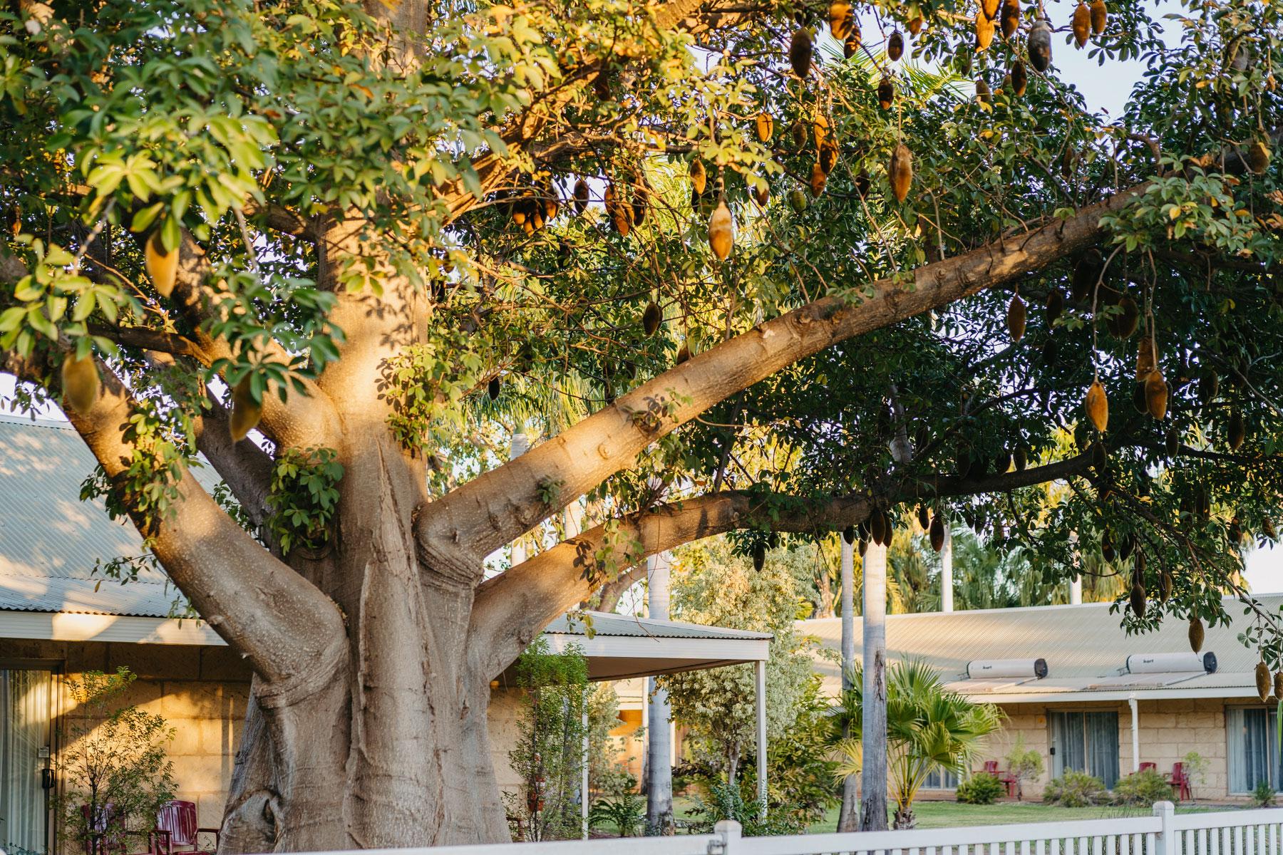 Resort The Kimberley Grande 4*