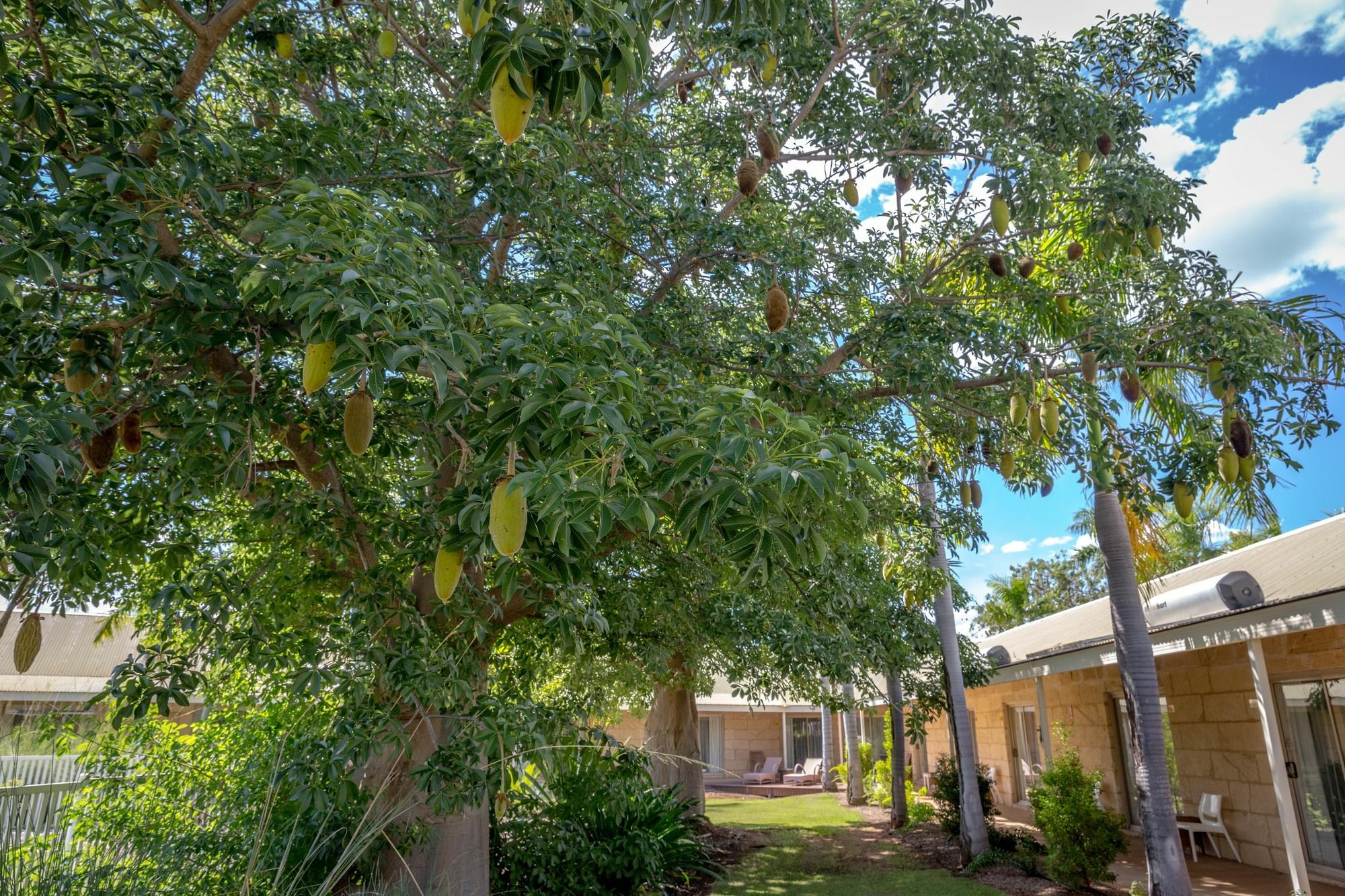 The Kimberley Grande Resort Kununurra